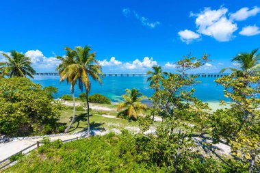 Calusa Beach, Florida Keys, Florida, ABD avuç içi ile tropik sahil.