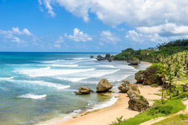 Bathsheba plajda, Doğu sahilleri Barbados Adası, Caribbean, taş ve avuç içi ile kıyı hattı.