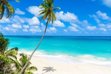 Paradise beach Barbados Adası, alt Bay, Barbados, Caribbean.