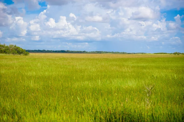 View Anhinga Trail Everglades National Park Florida Usa — Stock Photo, Image