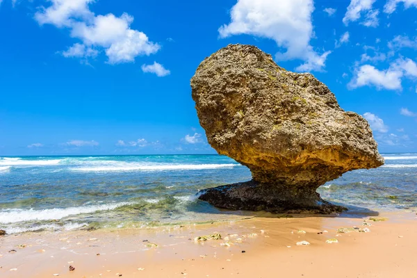 Zbliżenie Duże Kamienie Plaży Batszeby Wschodnim Wybrzeżu Barbadosu Wyspa Caribbean — Zdjęcie stockowe