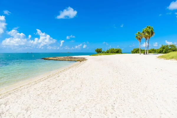 Deserted Sombrero Beach Palm Trees Florida Keys Marathon Florida Usa — Stock Photo, Image