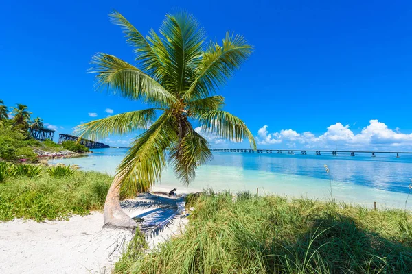 Trópusi Calusa Beach Florida Keys Amerikai Egyesült Államok — Stock Fotó