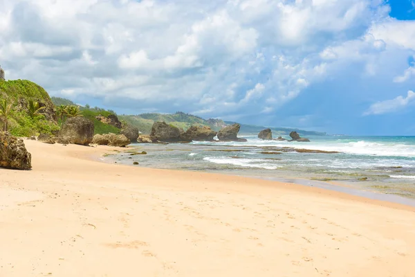 Playa Desierta Betsabé Costa Este Isla Barbados Caribe —  Fotos de Stock