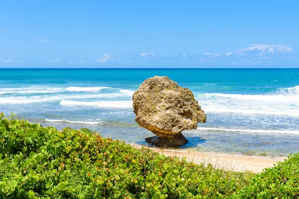 Obserwując Widok Batszeba Beach Wschodnim Wybrzeżu Wyspy Barbados Caribbean — Zdjęcie stockowe