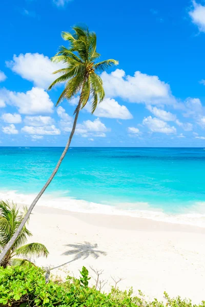 Paradise Beach Барбадос Острів Нижній Bay Барбадос Карибського Басейну — стокове фото