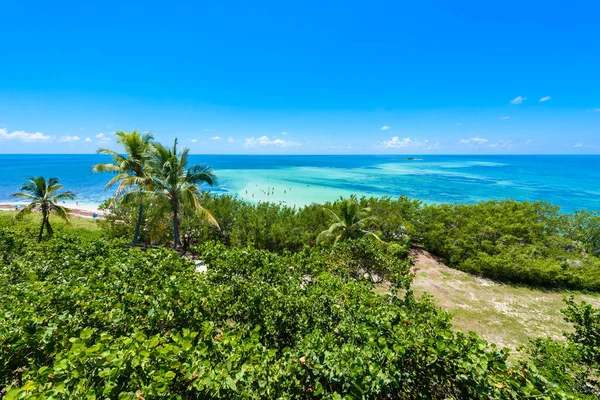 Tropické Pobřeží Dlaněmi Calusa Beach Florida Keys Florida Usa — Stock fotografie