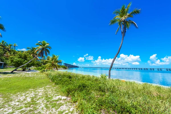 Trópusi Calusa Beach Florida Keys Amerikai Egyesült Államok — Stock Fotó