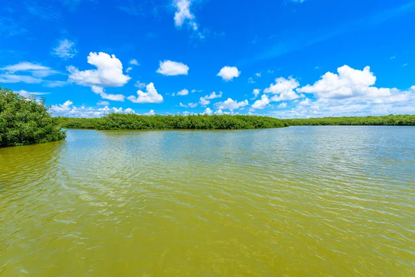 Lac Ouest Dans Everglades National Park Floride États Unis — Photo
