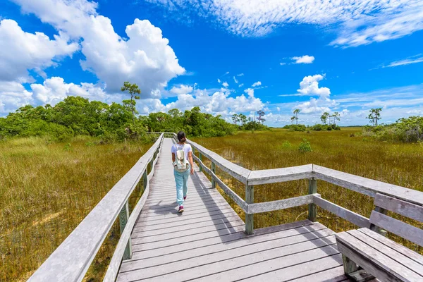 Vista Trasera Mujer Asiática Caminando Por Mahogany Hammock Trail Everglades —  Fotos de Stock