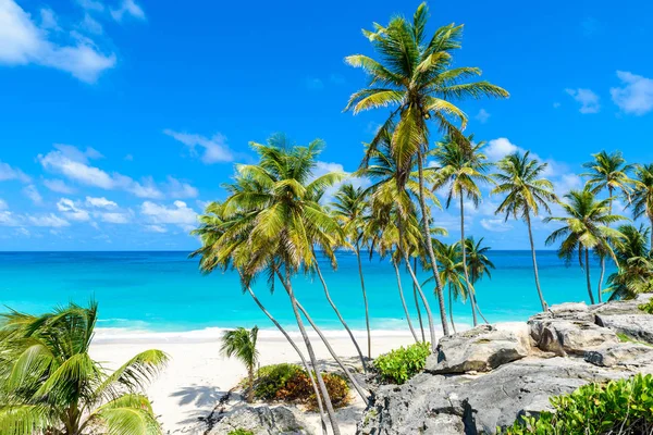 Cennet Plaj Barbados Adası Alt Bay Barbados Karayip Doğal Görünümü — Stok fotoğraf