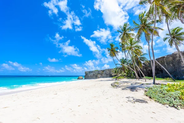 Tropikalne Wybrzeże Dłońmi Wiszący Nad Turkusowe Morze Karaibskiej Wyspy Barbados — Zdjęcie stockowe