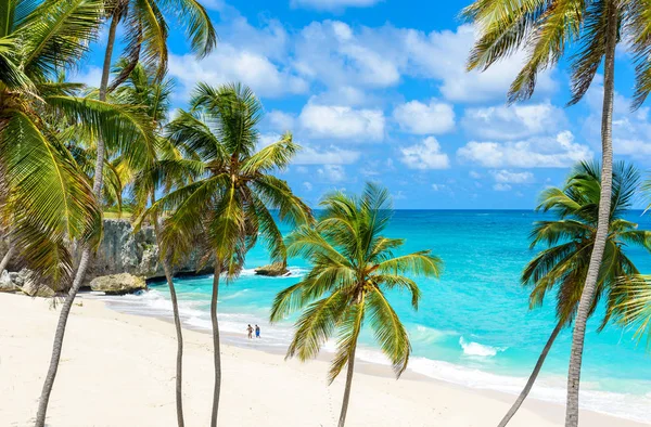 Paradise Beach Barbados Wyspa Dno Zatoki Barbados Caribbean — Zdjęcie stockowe