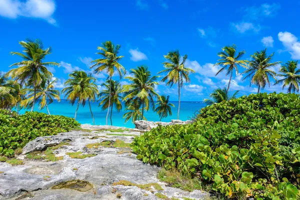 Malowniczy Widok Paradise Beach Barbados Wyspa Dno Zatoki Barbados Karaiby — Zdjęcie stockowe