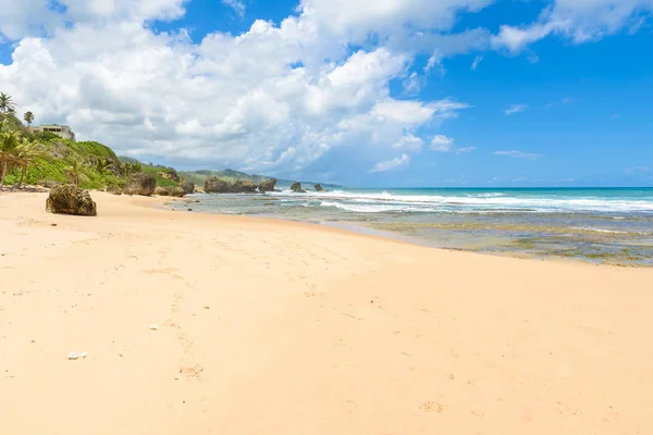Opuštěná Pláž Bathsheba Východní Pobřeží Ostrova Barbados Karibik — Stock fotografie