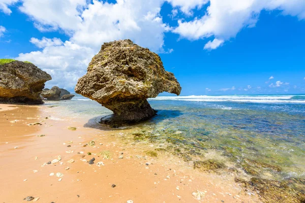 Formacja Skalna Plaży Batszeby Wschodnim Wybrzeżu Wyspy Barbados Caribbean — Zdjęcie stockowe