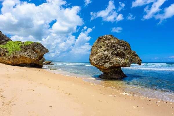 Primer Plano Grandes Piedras Playa Betsabé Costa Este Isla Barbados —  Fotos de Stock