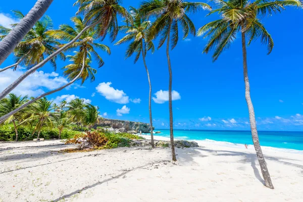 Malowniczy Widok Paradise Beach Barbados Wyspa Dno Zatoki Barbados Karaiby — Zdjęcie stockowe