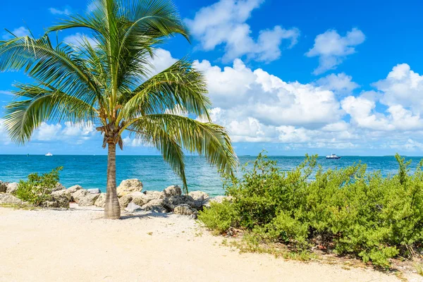 Acogedora Playa Paradise Fort Zachary Taylor Park Key West Florida —  Fotos de Stock