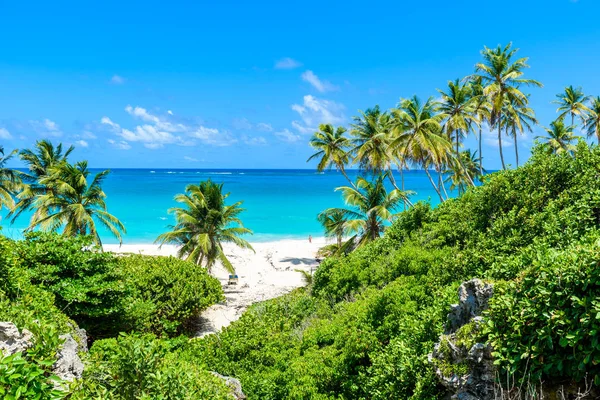 Rich green flora on Bottom Bay, Caribbean island of Barbados.