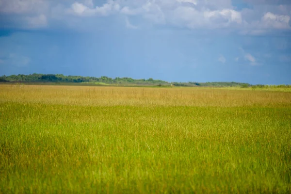 Uitzicht Vanaf Anhinga Spoor Van Het Everglades National Park Florida — Stockfoto