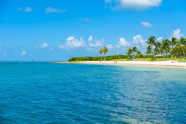 Sombrero Beach Con Algas Florida Keys Maratón Florida —  Fotos de Stock