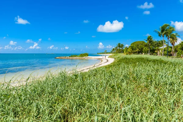 Slingrande Kust Sombrero Beach Florida Keys Marathon Florida Usa — Stockfoto