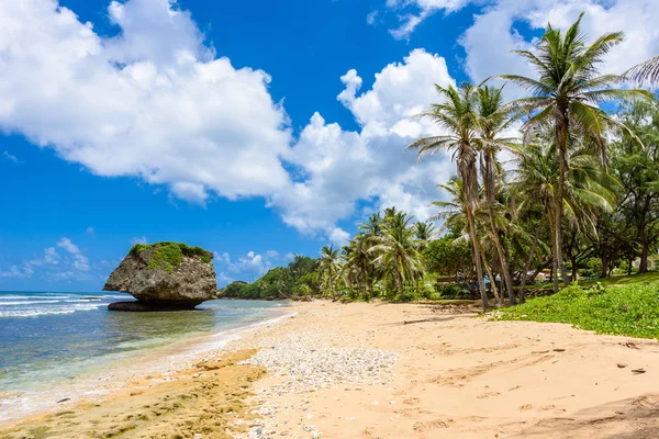 Plaj Bathsheba Doğu Sahil Barbados Adası Caribbean Üzerinde Büyük Taşlar — Stok fotoğraf