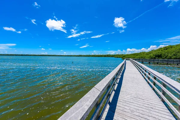 West Lake Trailhead Del Parque Nacional Everglades Florida —  Fotos de Stock