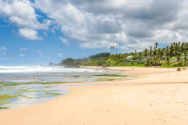 Praia Deserta Bathsheba Costa Leste Ilha Barbados Caribe — Fotografia de Stock