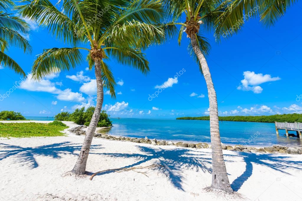 Shore of Sombrero Beach on Florida Keys with palm trees and stones, Marathon, Florida, USA. 