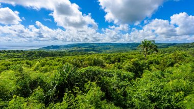 Farley Hill Milli Parkı Barbados Karayip Adası üzerinde.