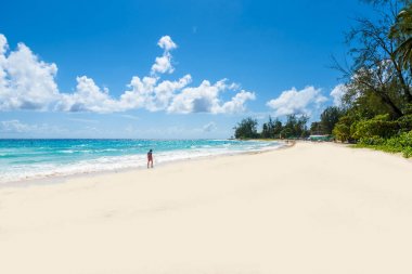 Accra Beach - Barbados Karayip Adası tropik sahilde. Bir beyaz kum plaj ve turquoiuse deniz ile bir cennet yer.