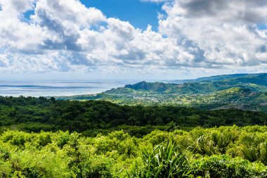 Farley Hill Milli Parkı Barbados Karayip Adası üzerinde.