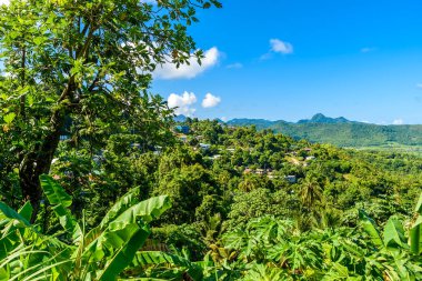 Tropikal yağmur ormanları Karayip Adası, St. Lucia üzerinde.