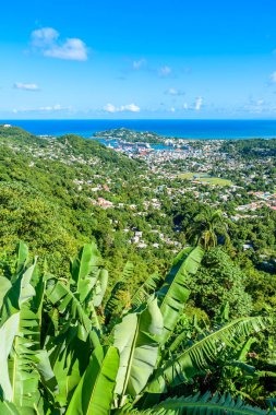Castries, Saint Lucia - tropik sahil plaj Karayip Adası, St. Lucia üzerinde.