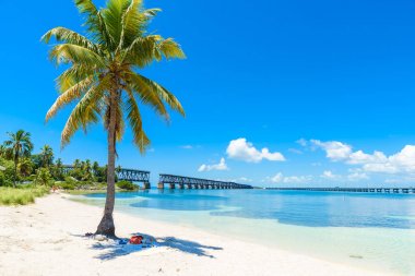 Calusa Beach, Florida Keys, Florida, ABD avuç içi ile tropik sahil.