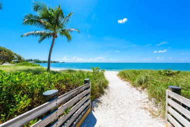 Sombrero Beach Florida Keys, Marathon, Florida, ABD palmiye ağaçlarının ile.