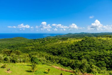 Tropikal yağmur ormanları Karayip Adası, St. Lucia üzerinde.