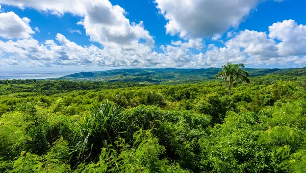 Εθνικό Πάρκο Του Λόφου Farley Στην Καραϊβική Νησί Των Μπαρμπάντος — Φωτογραφία Αρχείου