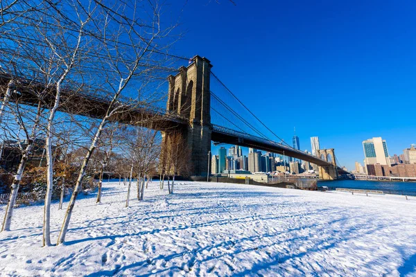 Panoraması Alt Manhattan Downtown Kış Zamanında New York City Amerika — Stok fotoğraf