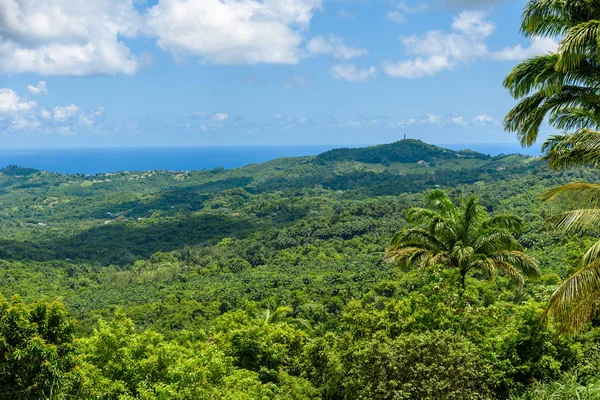 Paysages Tropicaux Montagneux Sur Île Caribéenne Barbade — Photo