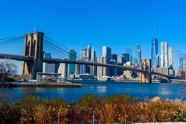 Scenic View Lower Manhattan Downtown New York City Usa — Stock Photo, Image