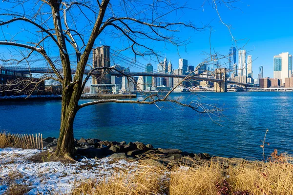 Panoraması Alt Manhattan Downtown Kış Zamanında New York City Amerika — Stok fotoğraf