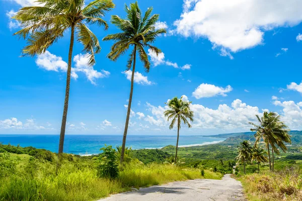 Вид Черри Три Хилл Побережья Карибского Острова Бардо — стоковое фото