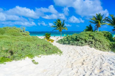 Tropik sahil, Quintana Roo, Meksika görünümünü gözlemleyerek.