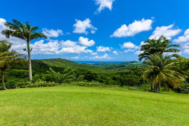 Barbados Karayip Adası üzerinde tropikal yayla sahne.