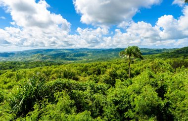 Farley Hill Milli Parkı Barbados Karayip Adası üzerinde.