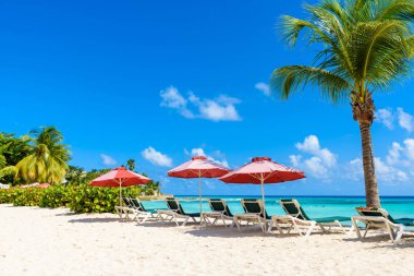 Dover Beach - Barbados Karayip Adası tropik sahilde. Bir beyaz kum plaj ve turquoiuse deniz ile bir cennet yer.