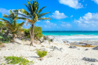 Tropik sahil, Quintana Roo, Meksika görünümünü gözlemleyerek.